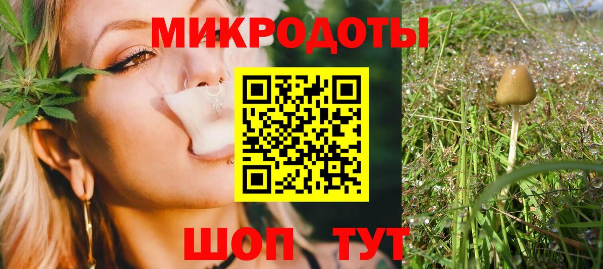 Галлюциногенные грибы Psilocybe Чехов