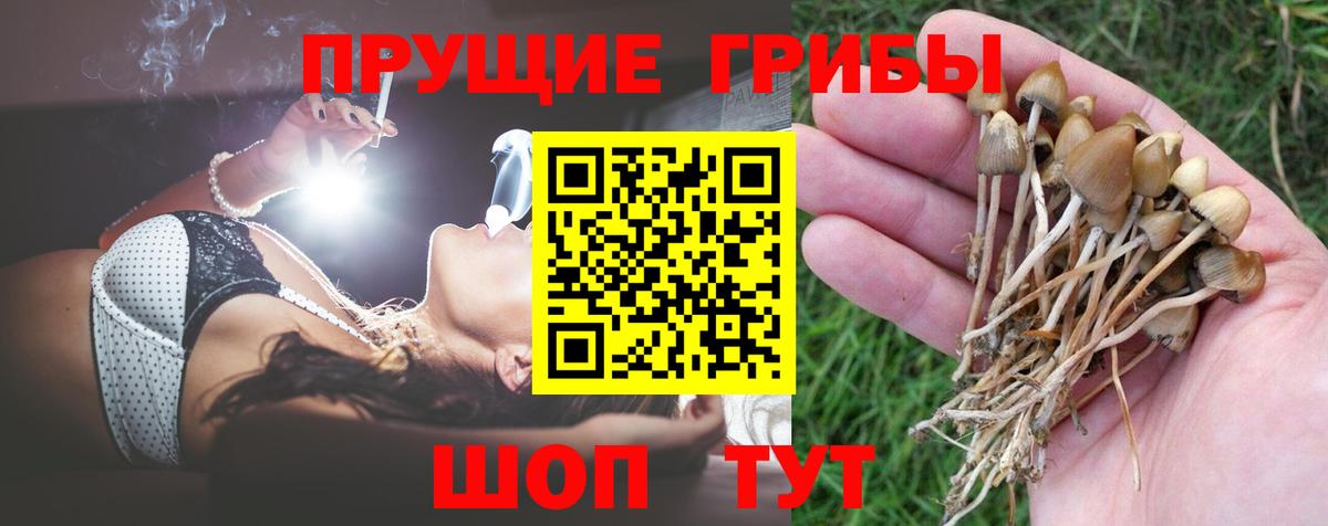 Галлюциногенные грибы Magic Shrooms  Псилоцибиновые грибы Psilocybine cubensis  Чехов  Вход с VPN 